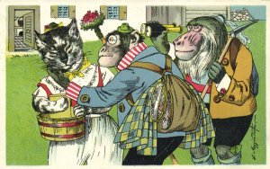 PC CATS, ANTHROPOMORPHIC CATS AND MONKEYS, Vintage Postcard (b47225)