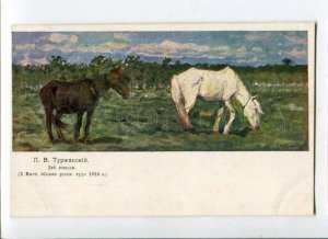 288959 Russian TURZHANSKY Two Horses Vintage St.Eugenie Red Cross postcard