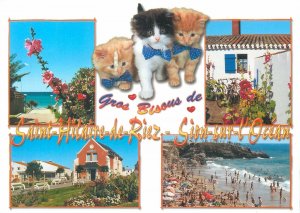 Postcard France Saint Hilaire Riez Sion Ocean Multi View Cats Beach Tourists