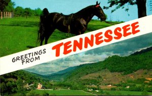 Greetings From Tennessee Split View