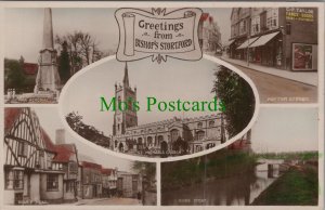 Hertfordshire Postcard - Bishops Stortford Greetings  HP558