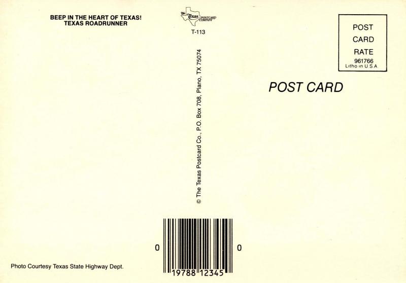 TX - Texas Roadrunner