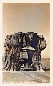 PACIFIC HIGHWAY~GIANT CEDAR STUMP-DEALER 907A AUTO TAG-ELLIS REAL PHOTO POSTCARD