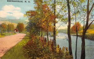 Youngsville New York View Of Youngsville, Color Lithograph Vintage PC U8717