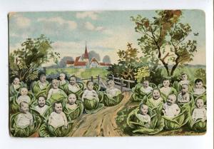 251357 MULTIPLE BABIES in Cabbage Vintage PFB #5747 Collage PC