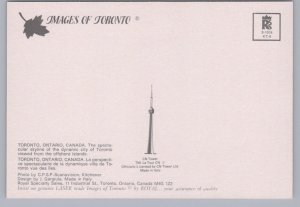 Planes, Island Airport, CN Tower, Skyline, Toronto, Ontario, Chrome Postcard 