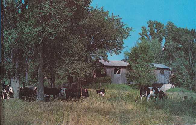 Old Covered Bridge at North Ferrisburg VT, Vermont