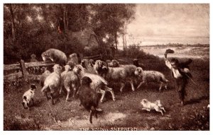 The Young Shepherd , Flock of sheep jumping over fence