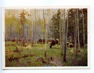 217192 RUSSIA GRITCAY first grass cows old postcard