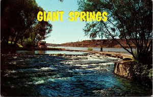 Giant Springs Great Falls Montana Postcard Largest Freshwater Spring Missouri R