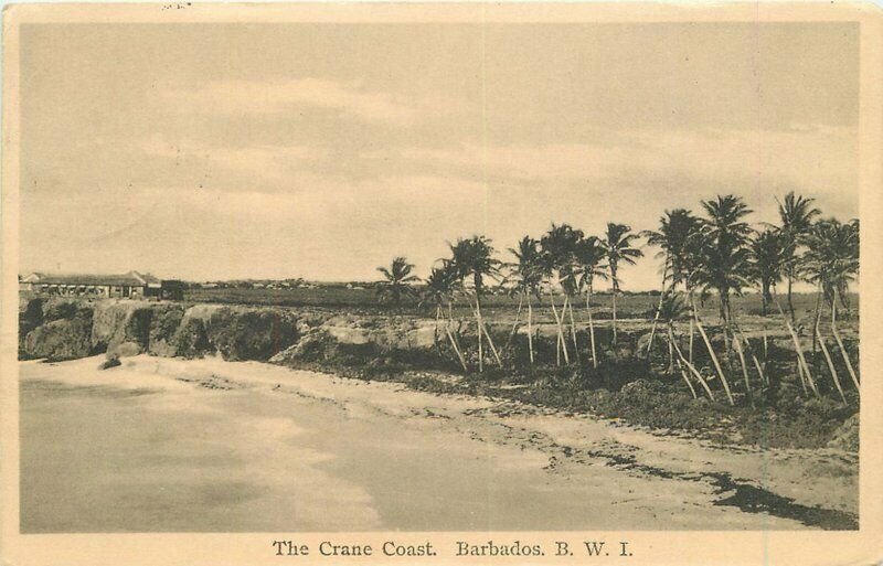 Barbados BWI Knights ltd Caribbean Crane Coast Postcard 21-5182