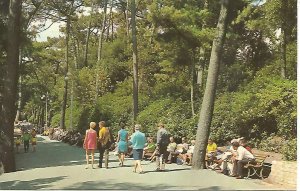 THE PINE WALK, BOURNEMOUTH