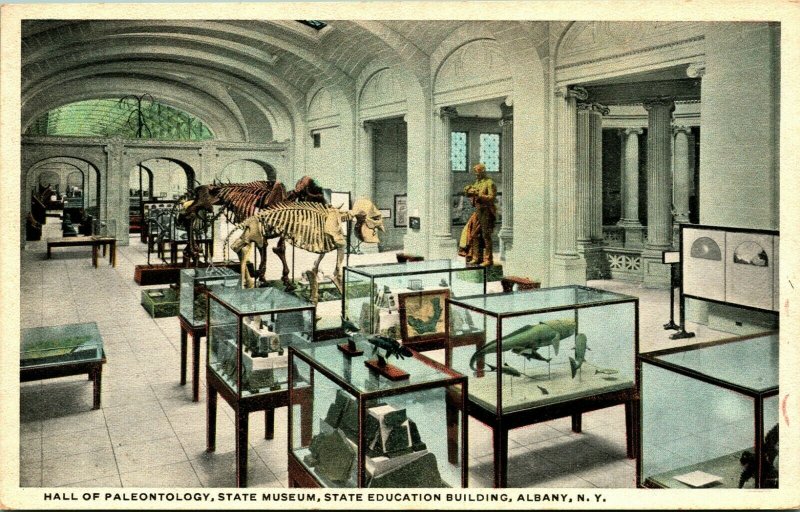 Hall of Paleontology State Museum Albany New York NY UNP 1920s Postcard Unsued 