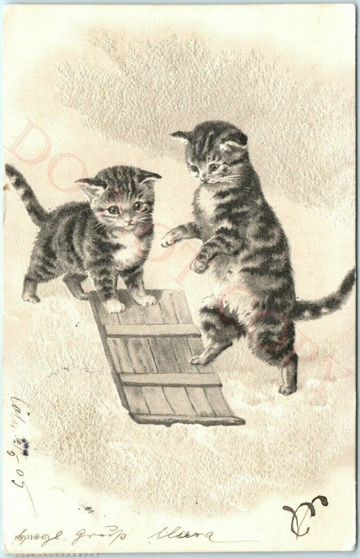 1905 Cute Kittens Sled in Snow Postcard Anthropomorphic Walking Cat Embossed A48 