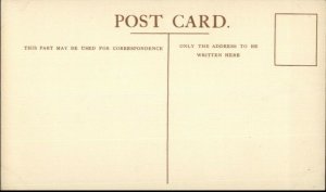 Union Castle Royal Mail Steamship Ship Postcard DUNOTTAR CASTLE