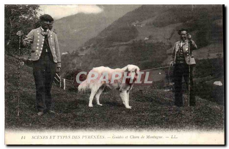 Old Postcard Scenes and Types of the Pyrenees (dog) Guides and mountain dogs TOP