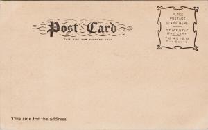 Frozen Solid Niagara Falls Ontario ON UNUSED  Postcard E54