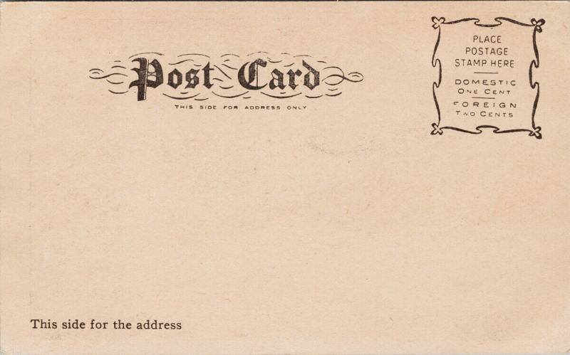 Frozen Solid Niagara Falls Ontario ON UNUSED  Postcard E54