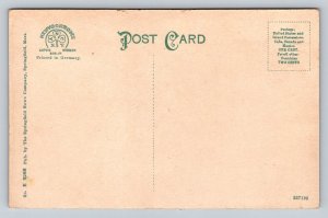 Perk Street   Florence  Massachusetts    Postcard