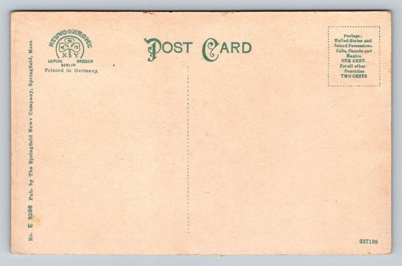 Perk Street   Florence  Massachusetts    Postcard