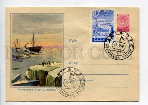 407859 USSR 1959 Antarctica shore true penguins Soviet Antarctic Expedition 