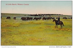 A Cattle Ranch In Western Canada