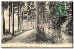 Old Postcard Saint Die Sous Bois in La Vanne de Pierre