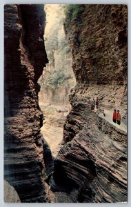 Watkins Glen Gorge, Watkins Glen, New York, Vintage Chrome Postcard