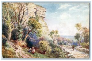 1907 The Undercliff Ventnor Isle of Wight England Oilette Tuck Art Postcard