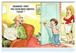 RISQUE Bamforth c1960s COMIC ~  Have You Seen Mrs Smith's PUSSY?  Postcard