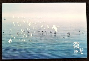 [AG] P413 Bird Ocean Scenery Fauna (postcard) *glow in dark *New