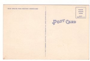 Trailing Range Cattle, Submarginal Area, North Dakota Vintage Linen Postcard