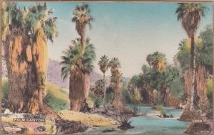 LP20  California, CA, postcard, Palm Canyon, Hand Colored.