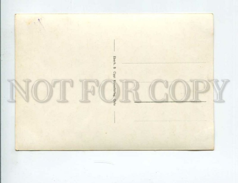 3142801 Norge Norway OSLO Castle Slottet OLD postcard