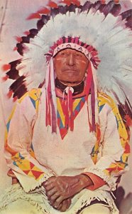 Western Indian Chief View Images