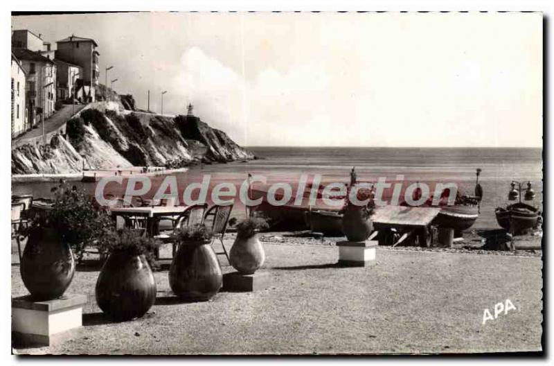 Old Postcard Traveling In the Cote Vermeille Banyuls sur Mer Pyrenees Gold Ca...