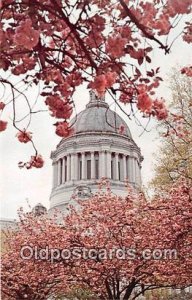 State Capitol Dome & Cherry Blossoms Olympia, Washington, USA Unused 