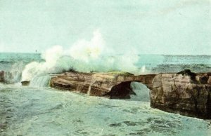 C.1900-05 Scene Along Cliff Drive, Santa Cruz, Cal Arch CA P168