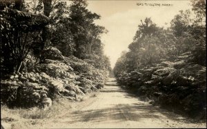 Hawaii HI Road to the Volcano c1920s-30s Real Photo Postcard