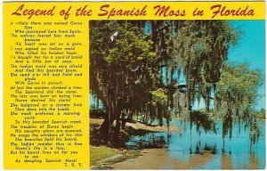 Legend Of The Spanish Moss In Florida - Vintage 1976 Chrome Postcard