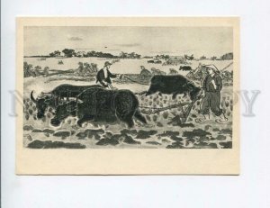 3154357 VIETNAM Types plowing by Pham Van Dong Old postcard