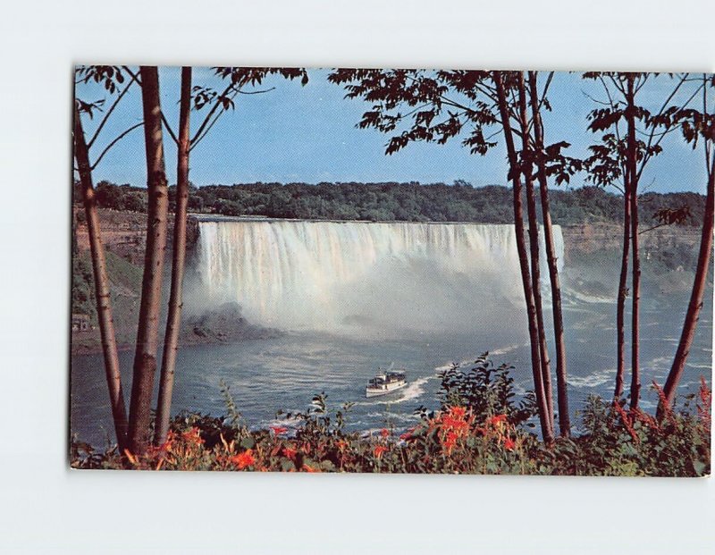 Postcard American Falls & Maid of the Mist Niagara Falls New York USA