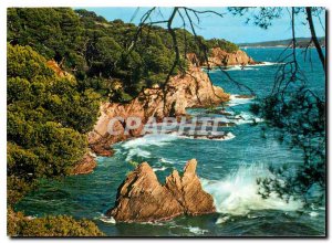 Postcard Modern Var Giens peninsula Cliffs Polynesia