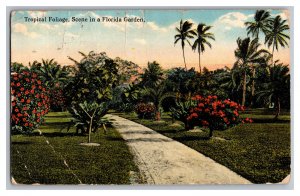 c1918 Postcard FL Tropical Foliage Scene In A Florida Garden 