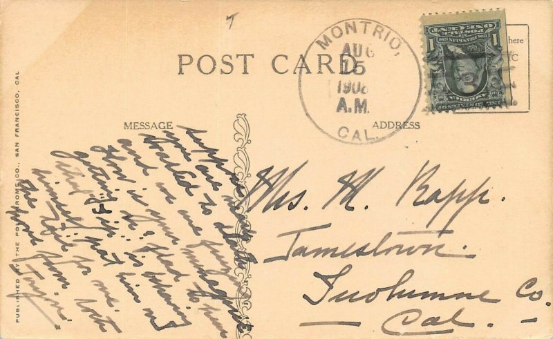 LP70  Camp Meeker California Postcard  OX Team