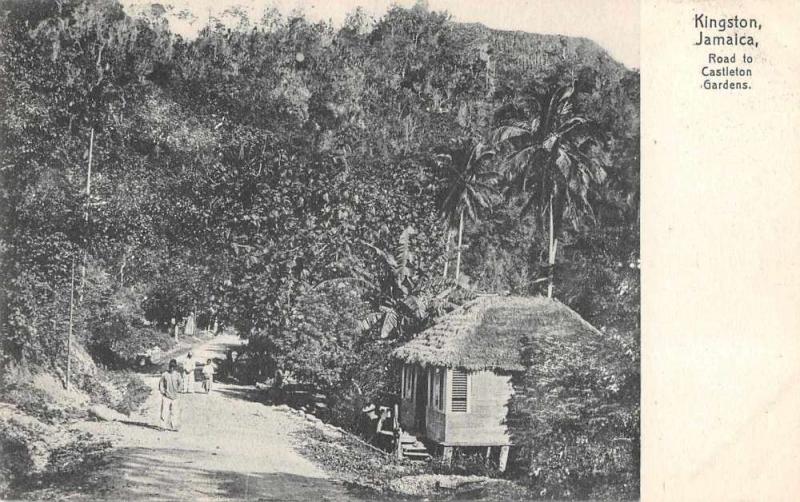 Kingston Jamaica Road to Castleton Gardens Scenic View Antique Postcard J65773