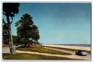 Gulfport Mississippi MS Postcard Gulf Coast Highway Old Spanish Trail Scene 1956