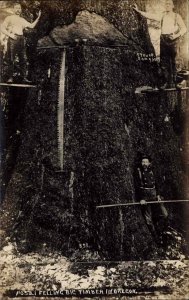 Salem Oregon OR Logging in Timber Lumber c1910 Real Photo Vintage Postcard