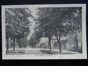 ABINGDON Park Avenue c1910 Postcard by  W.H.Hooke / H.& Co.Ltd