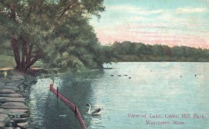 Vintage Postcard 1910 View of Lake Green Hill Park Worcester Massachusetts MA